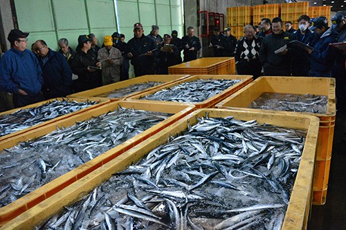 遅ればせながらサンマ(2019-10-29)