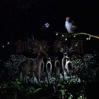 ルミナ人気 3万人突破 阿寒湖温泉(2019-10-30)