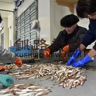 シシャモ初水揚げ 初日は不漁 白糠漁港(2019-10-30)