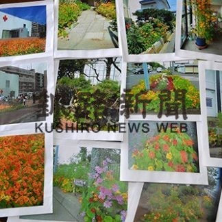 キンレンカ植えてみませんか展(2019-11-05)