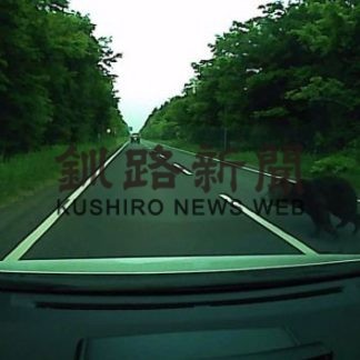 来月４日　ヒグマ講演会(2019-11-21)