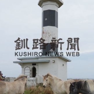 ユルリ島　灯台点検(2019-10-24)