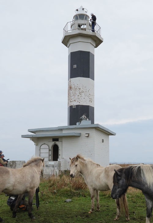 ユルリ島 灯台点検(2019-10-24)