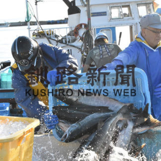 秋サケ　低水準続く(2019-10-18)