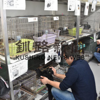 猫、犬の休日見学会(2019-10-21)