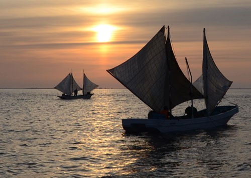 ホッカイシマエビ漁 解禁(2019-10-23)