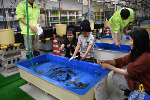 近海の魚に触れ笑顔(2019-10-25)