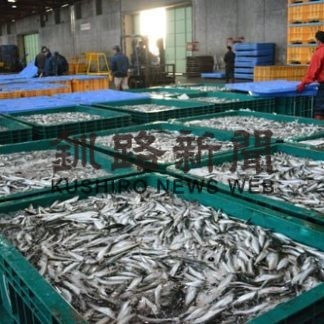 マイワシ28年ぶり20万トン超　道東沖のまき網漁(2019-11-07)