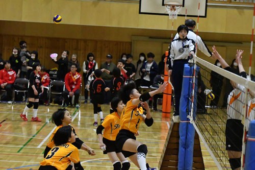 なごみ杯バレー 釧路町VB少年団が優勝(2019-11-17)