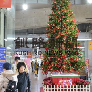 一足早くクリスマスツリー(2019-11-14)