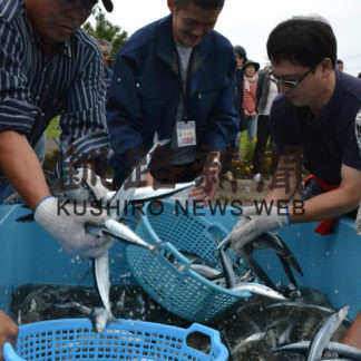 トークショーなどで熱気　岬まつりとルパンフェス(2019-09-18)