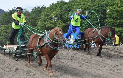 迫力のばん馬に声援(2019-09-27)