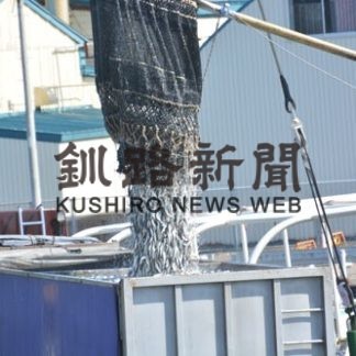 イワシ豊漁　好調維持(2019-09-23)