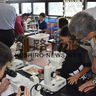 小学生　海の体験科学教室(2019-08-28)