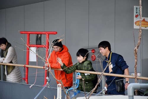 サーモン科学館がお正月特別開館(2020-01-05)