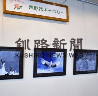 はまなす芦野館でタンチョウ講演会(2020-02-18)