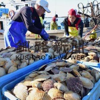 新ホタテ漁水揚げ総量７３５㌧(2020-01-30)