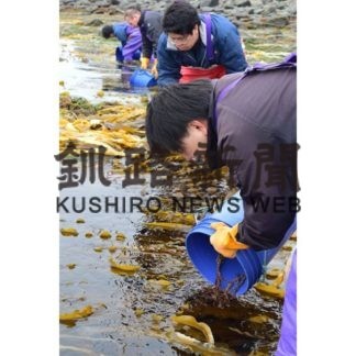 １０万匹稚ガニ放流(2019-05-08)