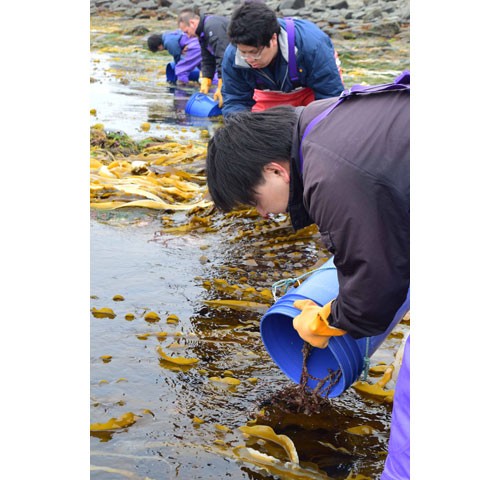 10万匹稚ガニ放流(2019-05-08)