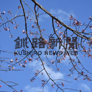 令和初の花見　「楽しんで」(2019-05-03)