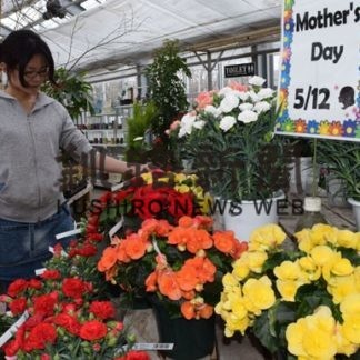 来店者の目を楽しませる　母の日カーネーション(2019-05-11)