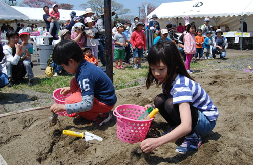 家族連れでぜひ来て はまなか桜まつり(2019-05-16)