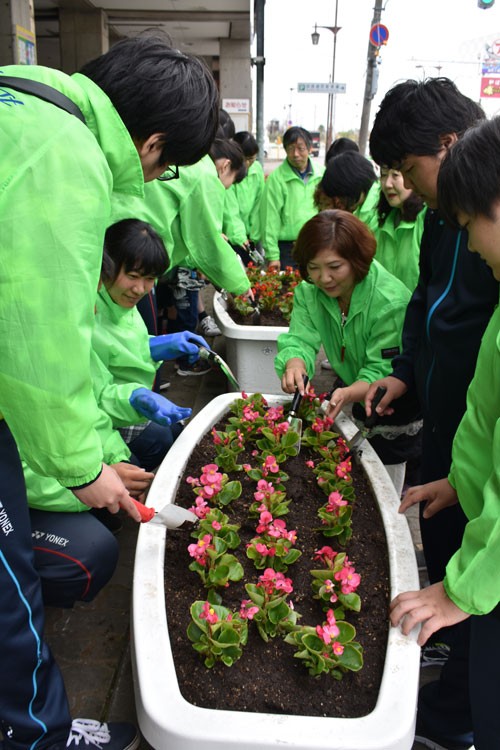 ベゴニアで MOOに彩り 国際ソロプチミスト釧路(2019-05-19)
