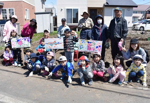 キクイモ堀りとキンレンカ種植え(2019-05-21)_2