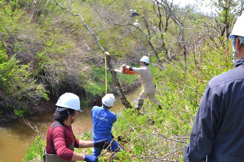 排水路の雑木整理 機能と景観が向上 3社が地域貢献(2019-05-24)