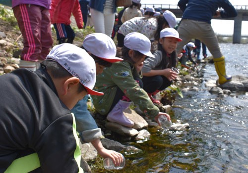 「元気に戻ってきてね」 稚魚放流(2019-05-23)