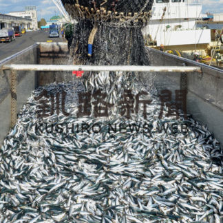 マイワシ漁獲 20万㌧超え　道東沖巻き網(2020-10-16)