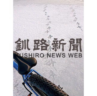 自転車で氷上走行、冬の野鳥観察で可能性探る(2021-02-05)