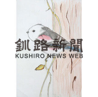 ねむろの野鳥イラストコンテスト」入賞者発表　〈下〉(2021-02-10)