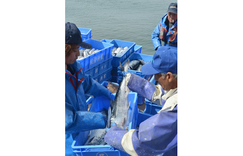 道東で春定置始まる(2021-04-29)