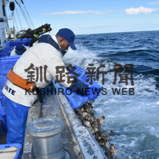 　標津の前浜にホタテ稚貝放流　漁協、７５万粒(2021-04-02)