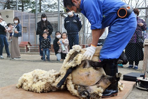 GW初日 行楽地にぎわう(2021-04-30)
