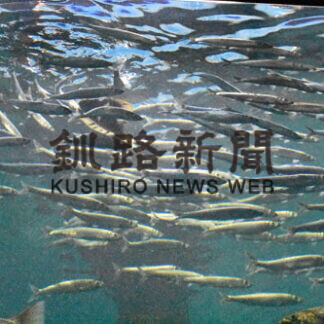 ニシンの群れ悠々　サーモン科学館、今年も展示(2021-04-25)