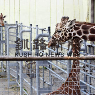 春の日差しにほのぼの_4(2021-04-24)