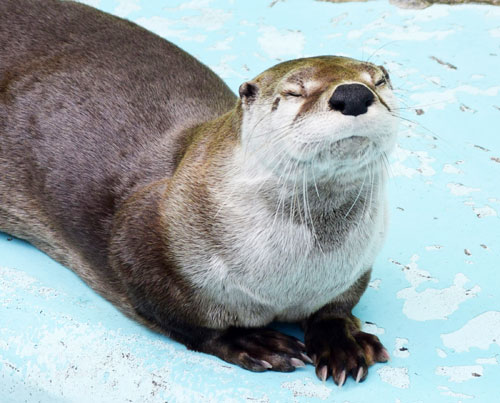 春の日差しにほのぼの_2(2021-04-24)