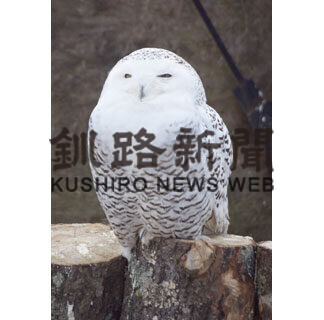 春の日差しにほのぼの_6(2021-04-24)