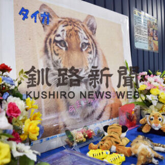 春の日差しにほのぼの_1(2021-04-24)