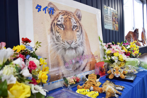 春の日差しにほのぼの_1(2021-04-24)