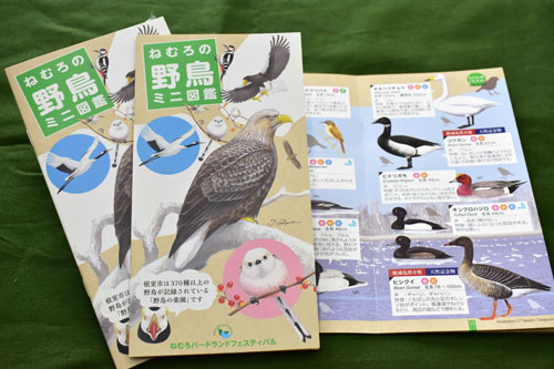 野鳥ミニ図鑑発行 根室、別海、浜中の小中に無料配布(2021-04-29)