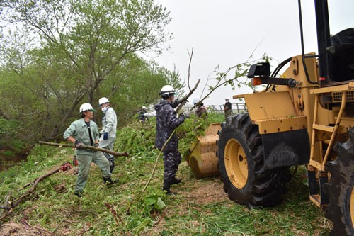 牧場周辺で雑木整理(2021-05-26)