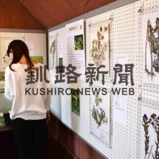 市立博物館で外来植物展(2021-05-26)