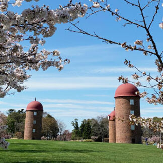 桜と赤レンガサイロ一緒にライトアップ　８日から明治公園で(2021-05-02)