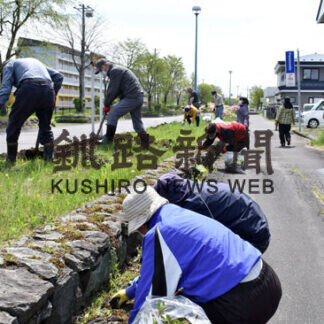 コロナ禍癒やす花壇に_1(2021-05-31)