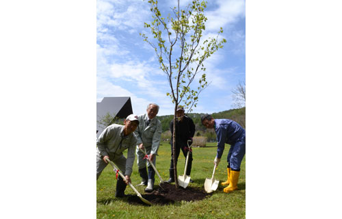 納税返礼品のエゾヤマザクラ、小松茂町長らが苗植樹(2021-05-23)