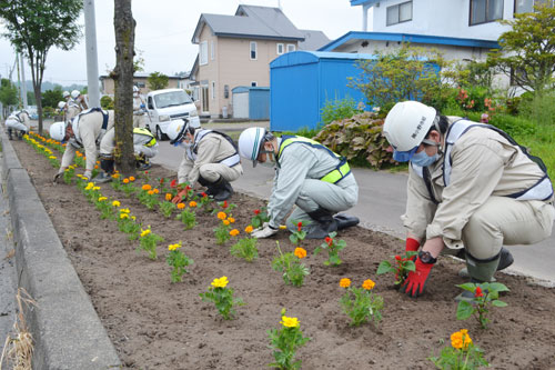 小野寺組、国道沿いで660株を植栽(2021-06-22)