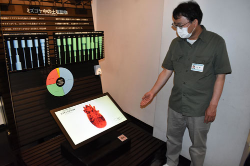 釧路市立博物館が「土壌動物」の展示一新(2021-07-30)